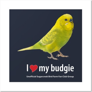 budgie (2) Posters and Art